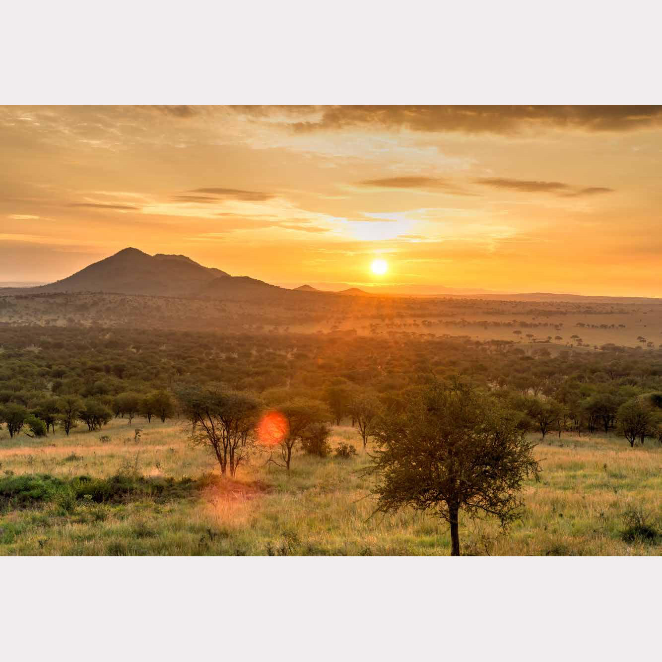 150 National Parks You Need to Visit Before You Dieg