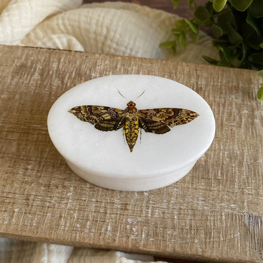 Hawk Moth White Oval Soapstone Trinket Box