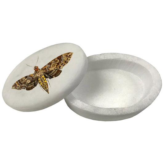 Hawk Moth White Oval Soapstone Trinket Box