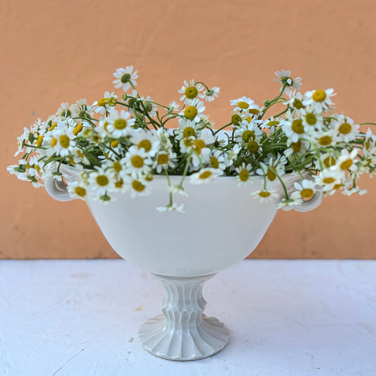 Footed Porcelain Bowl – White