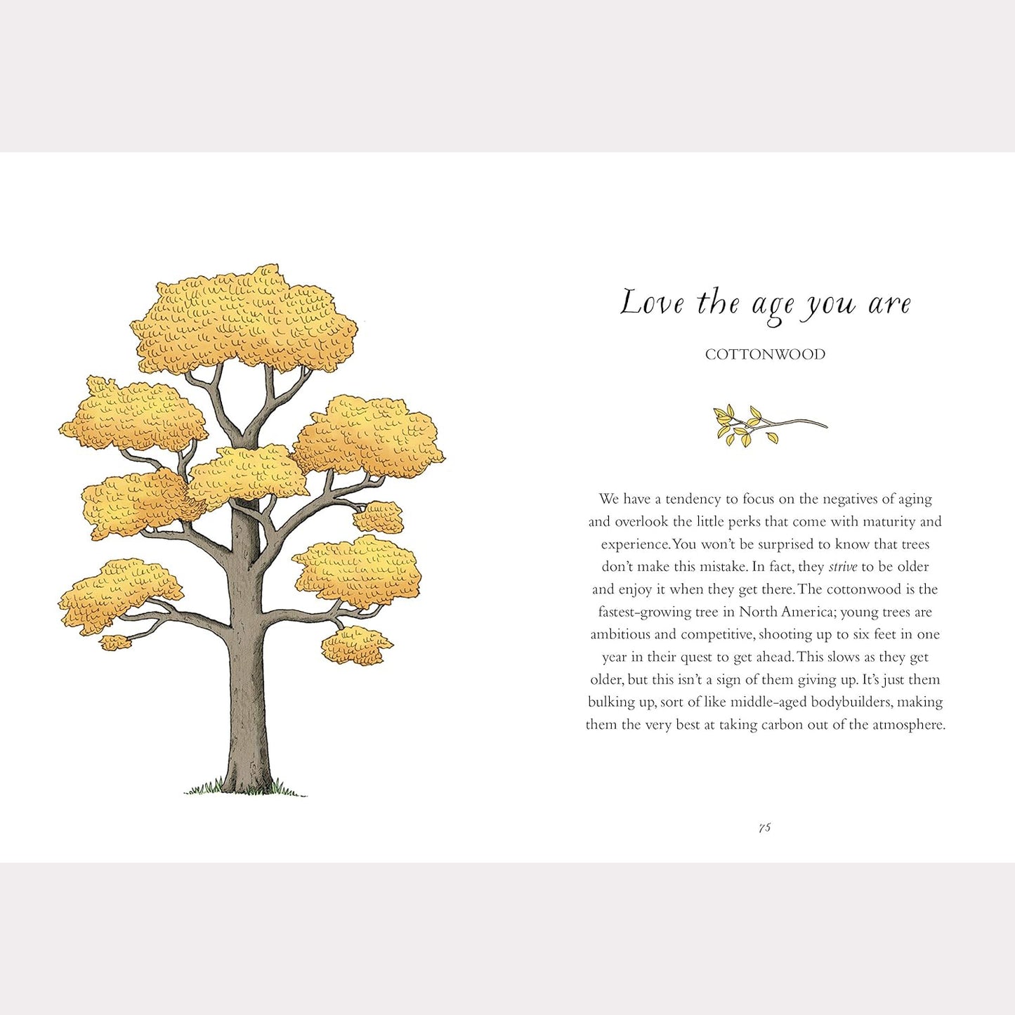 How to Be More Tree: Essential Life Lessons for Perennial Happiness