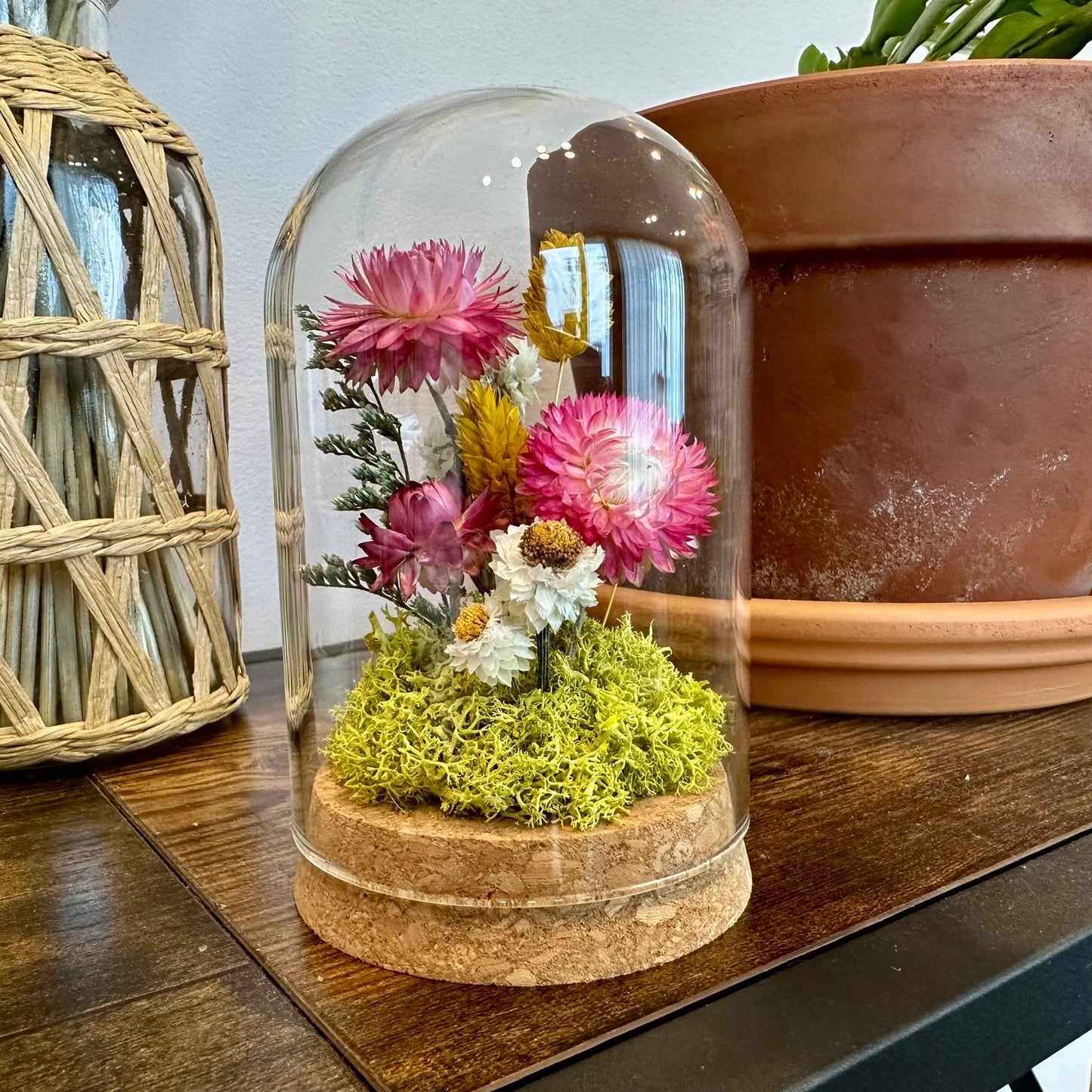Sunblush Glass Cloche Terrarium - Tall