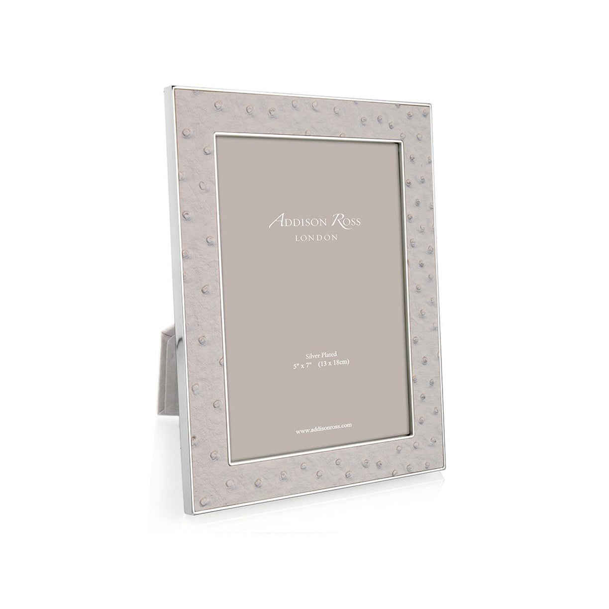 4x6 Faux Ostrich + Silver Picture Frame - Mist