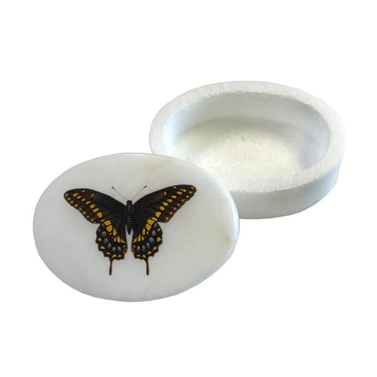 Eastern Black Swallowtail Butterfly 3" Oval Soapstone Trinket Box