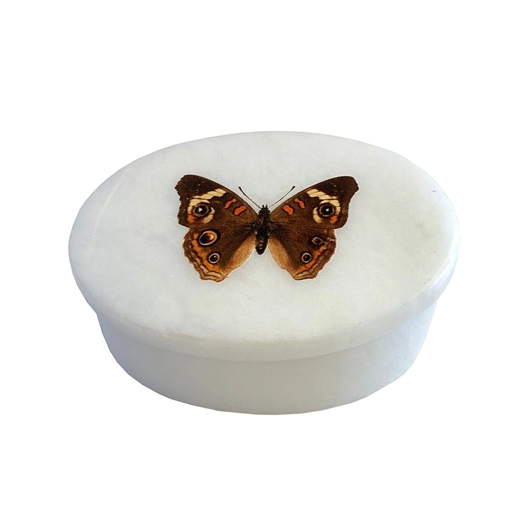 Buckeye Butterfly 3" Oval Soapstone Trinket Box