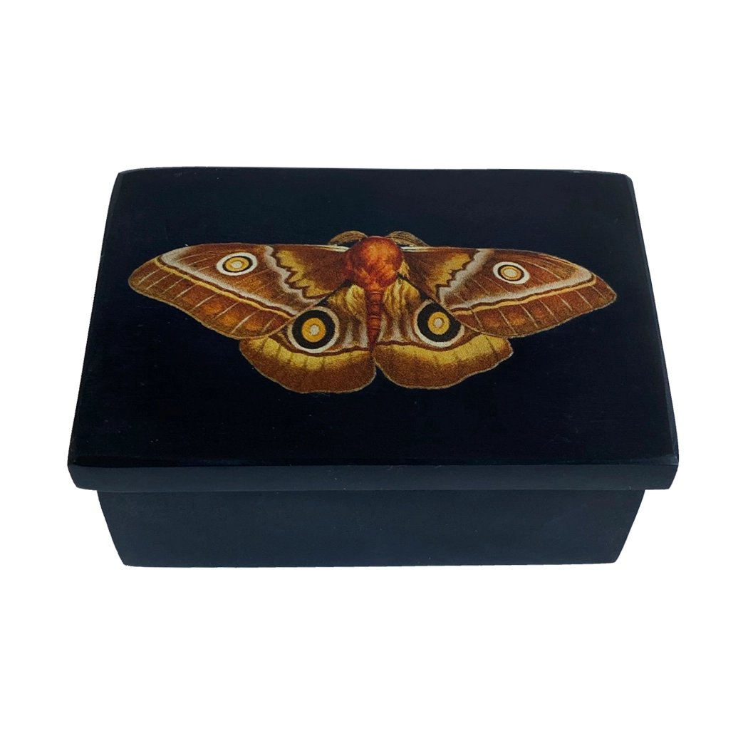 Emperor Moth 3" Black Soapstone Trinket Box