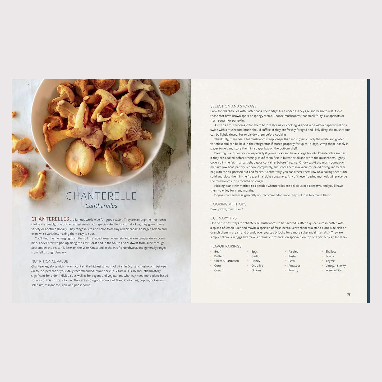 Mushroom Gastronomy: The Art of Cooking with Mushrooms