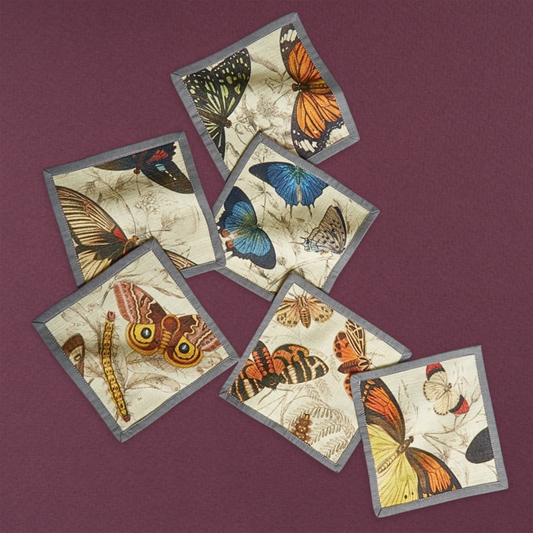 Specimen Cocktail Napkins (Set of 6)