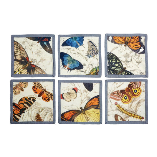 Specimen Cocktail Napkins (Set of 6)