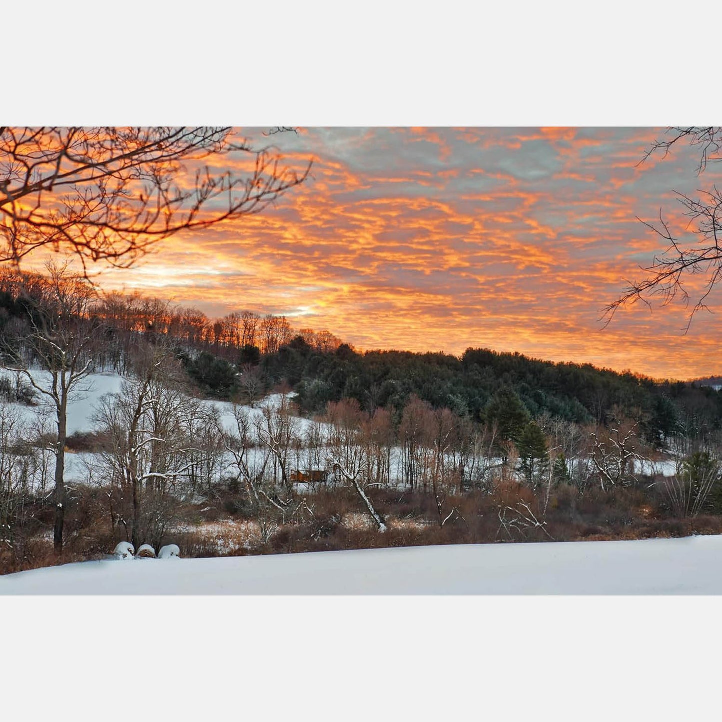 Upstate Now: Art, Design, and Rural Life in the Hudson Valley and Catskills