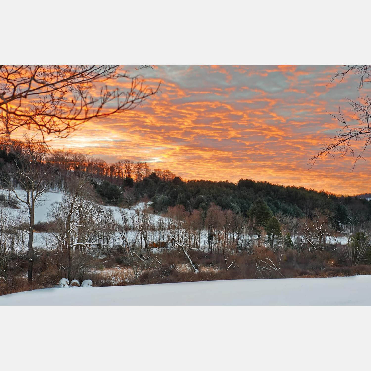 Upstate Now: Art, Design, and Rural Life in the Hudson Valley and Catskills