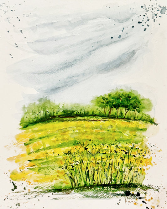 Canola Fields