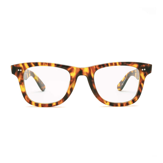 Porgy Backstage - Terrapin