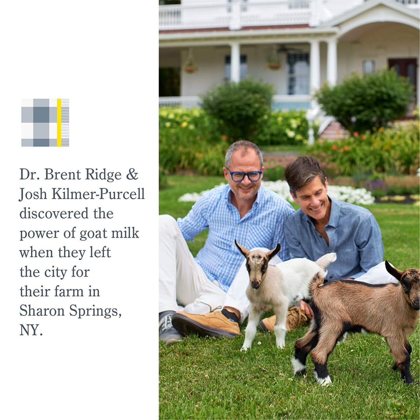 Goat Milk Whipped Body Cream - Honeyed Grapefruit