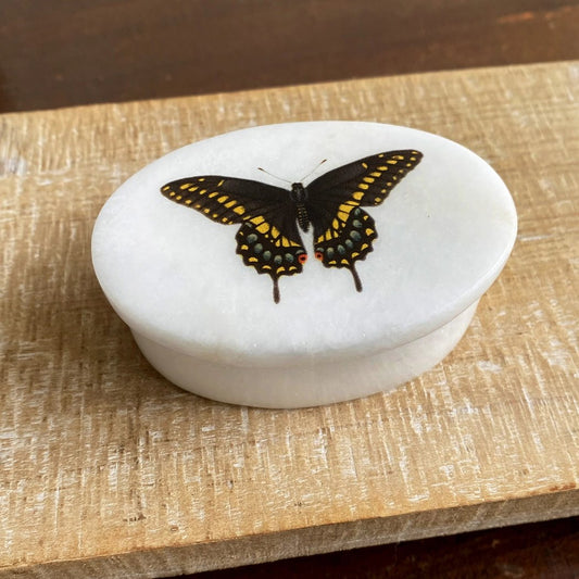 Eastern Black Swallowtail Butterfly Oval Soapstone Trinket Box