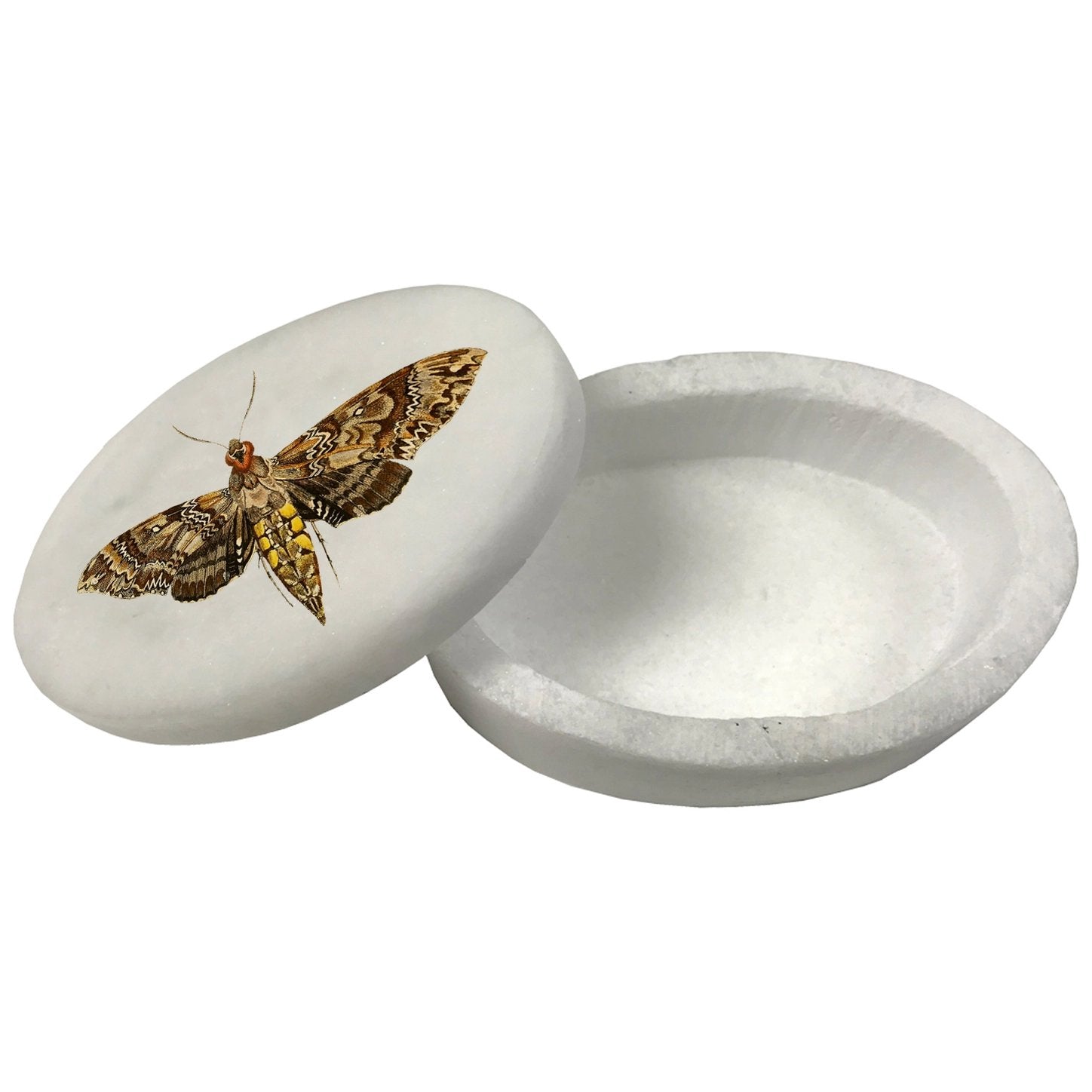 Hawk Moth White Oval Soapstone Trinket Box