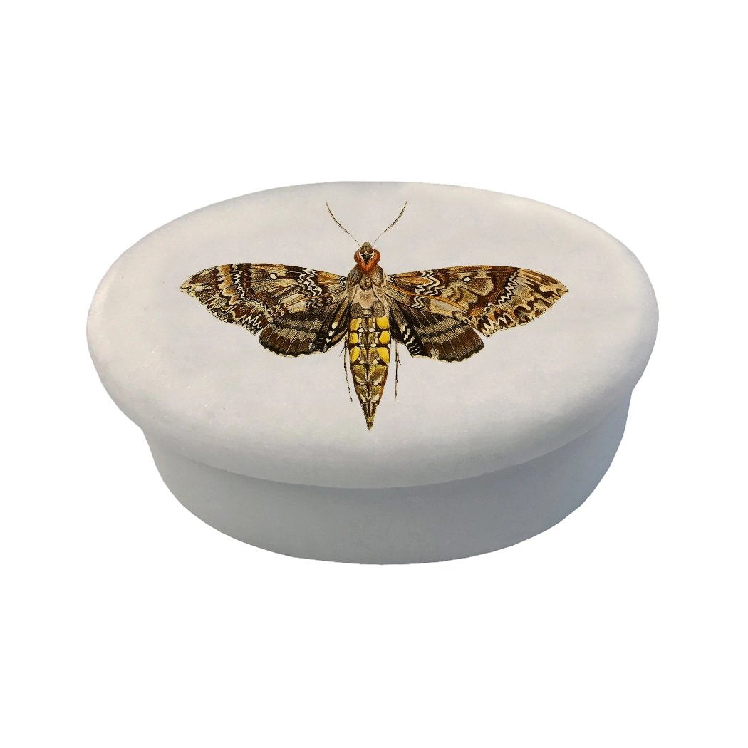 Hawk Moth White Oval Soapstone Trinket Box