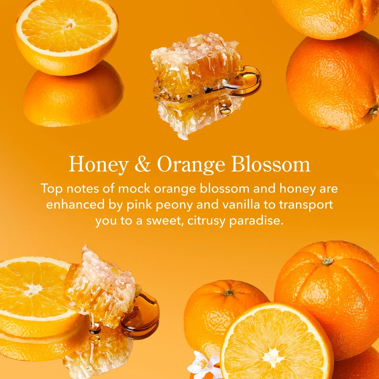 Goat Milk Bar Soap - Honey + Orange Blossom
