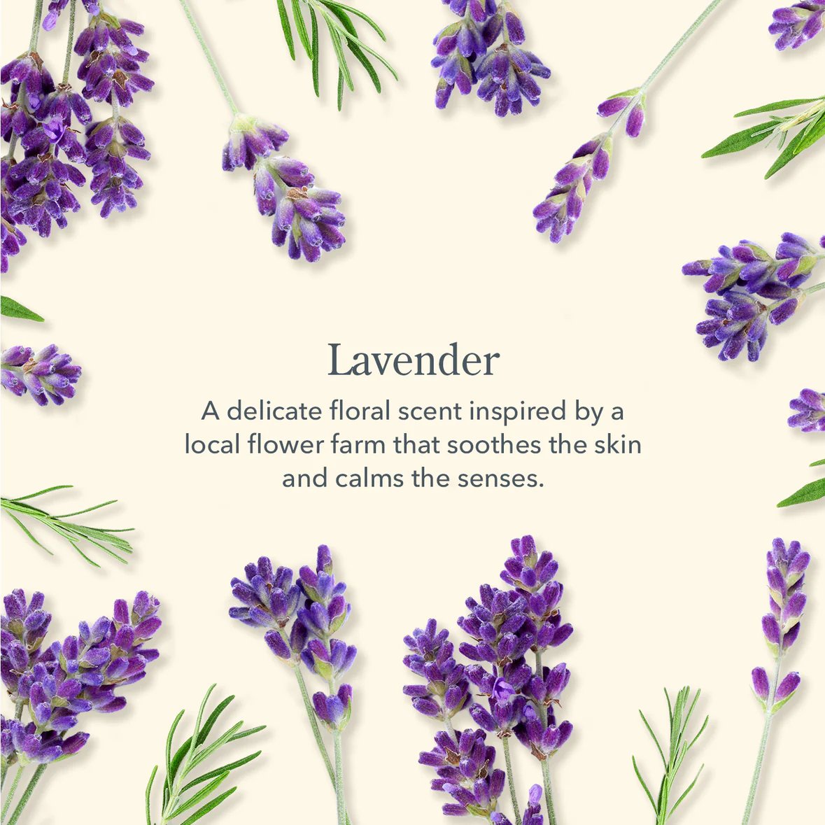 Goat Milk Hand Cream - Lavender