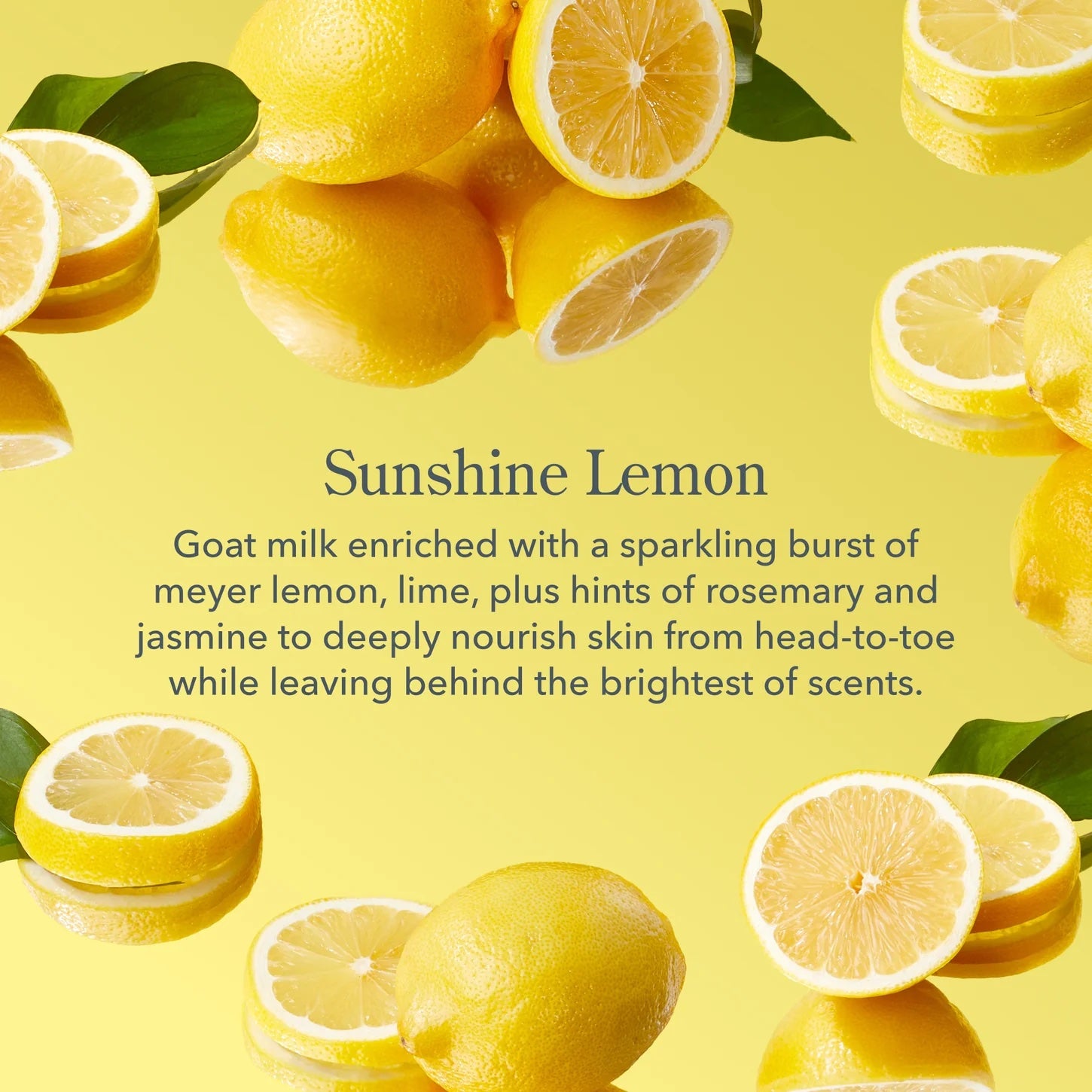Goat Milk Hand Cream | 12.5 oz Pump Bottle - Sunshine Lemon