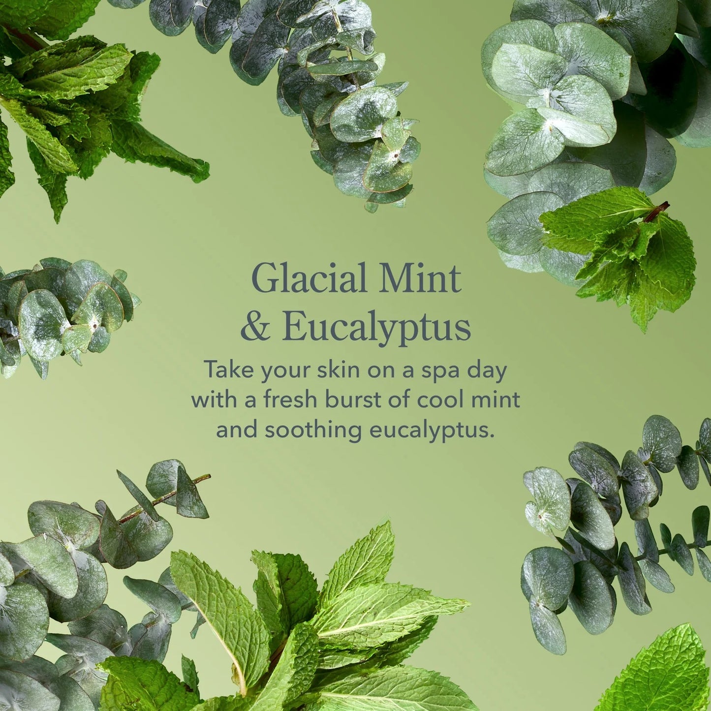 Goat Milk Whipped Body Cream - Glacial Mint & Eucalyptus