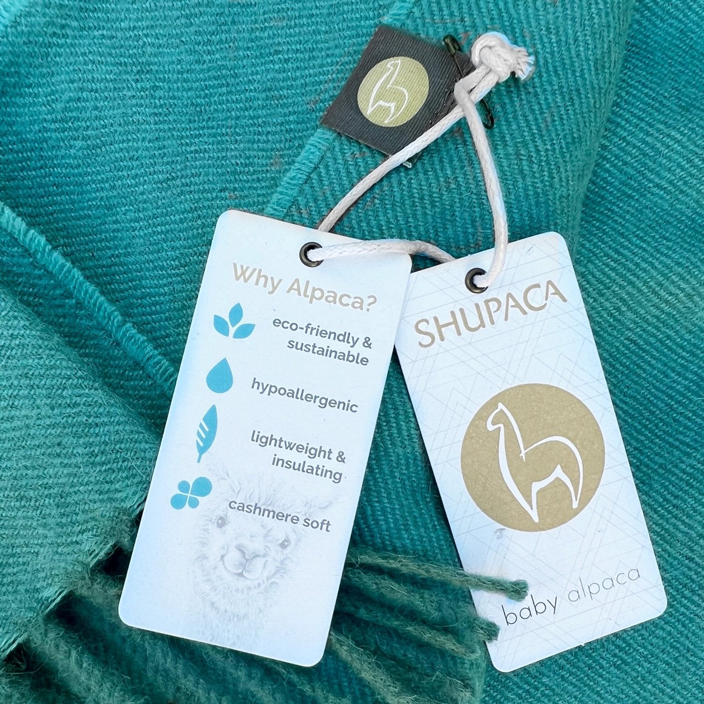 Baby Alpaca Solid Scarf - Jade