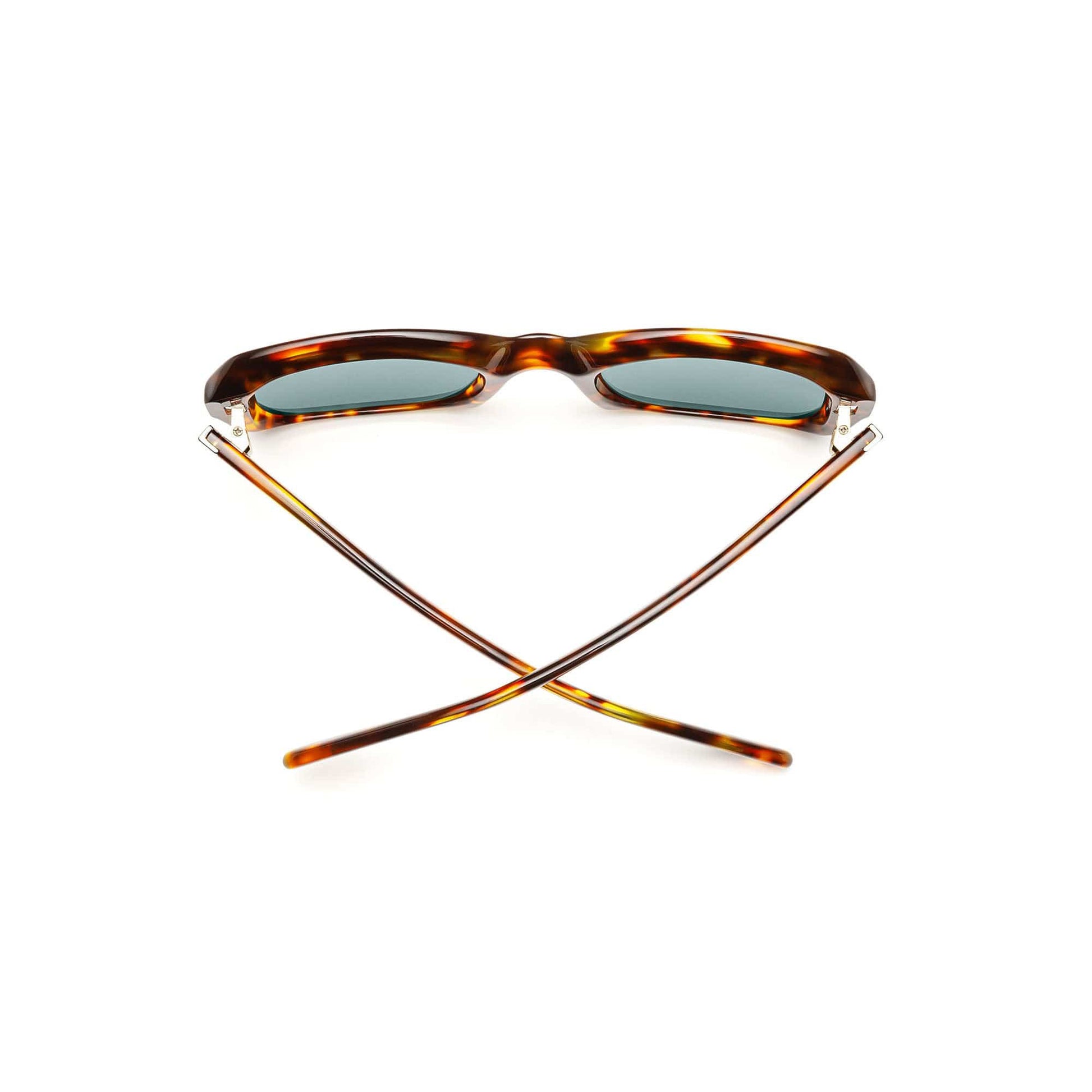 Shelby Sunglasses - Terrapin - Zeiss Lightpro Green