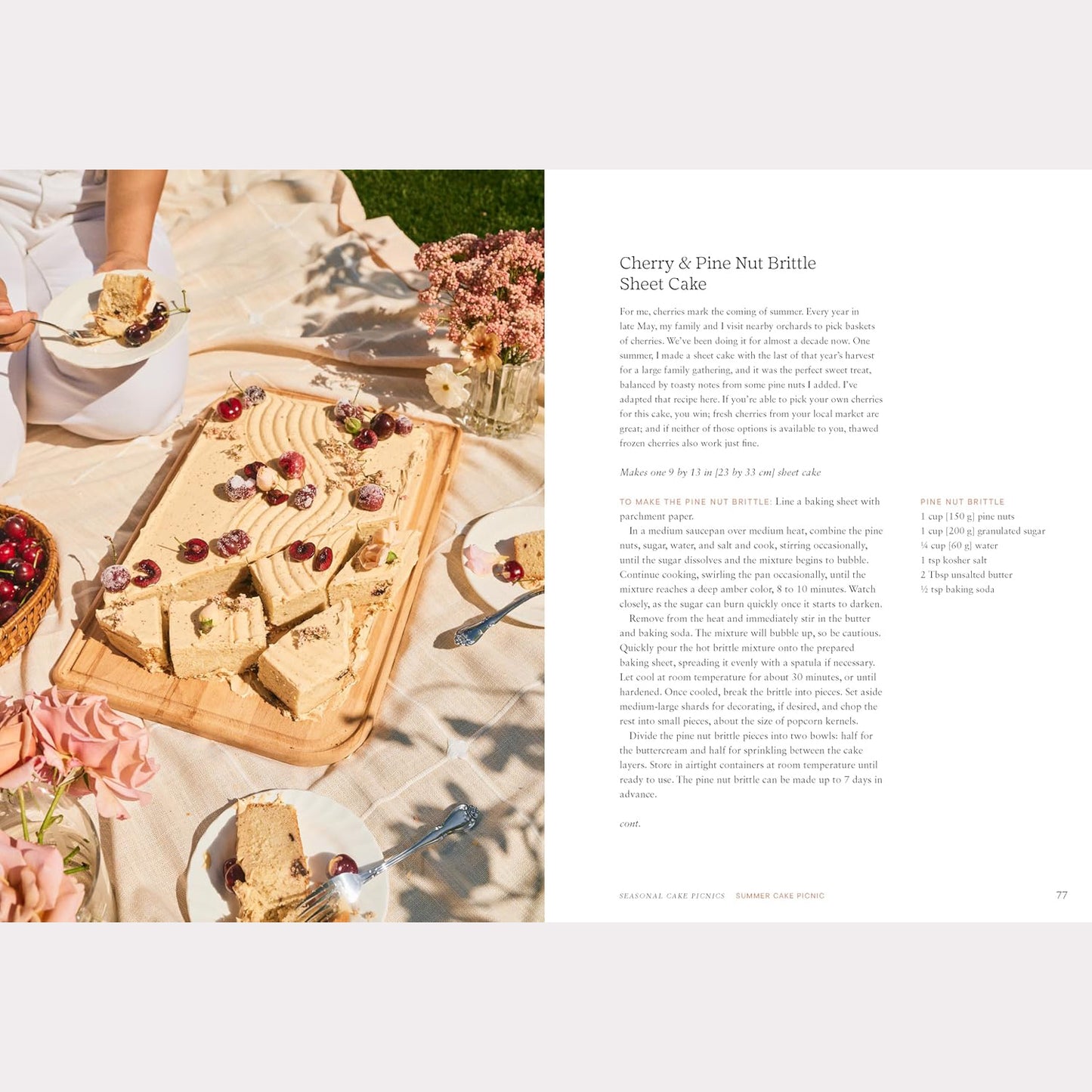 Cake Picnic: Recipes for the Love of Cake & Friends