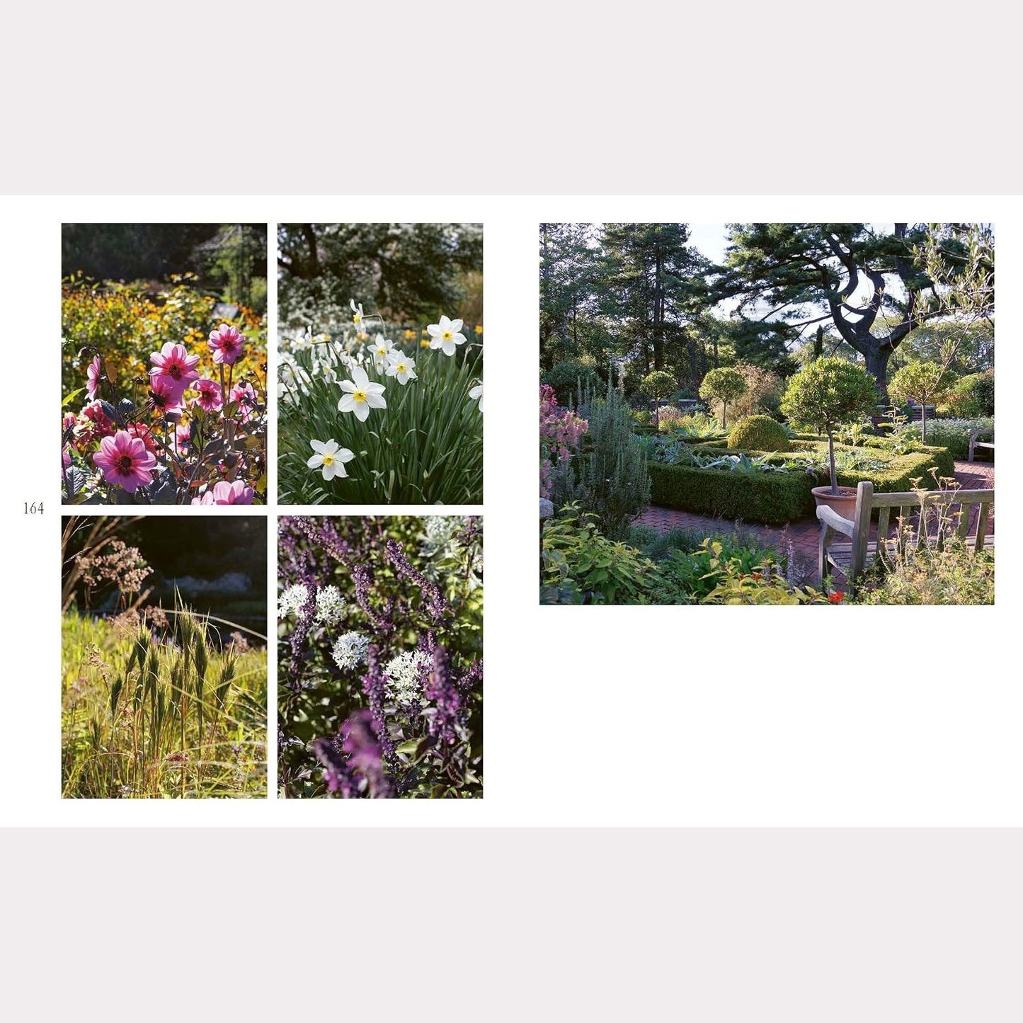 Secret Gardens of New York: Green Hideaways in the Heart of the City