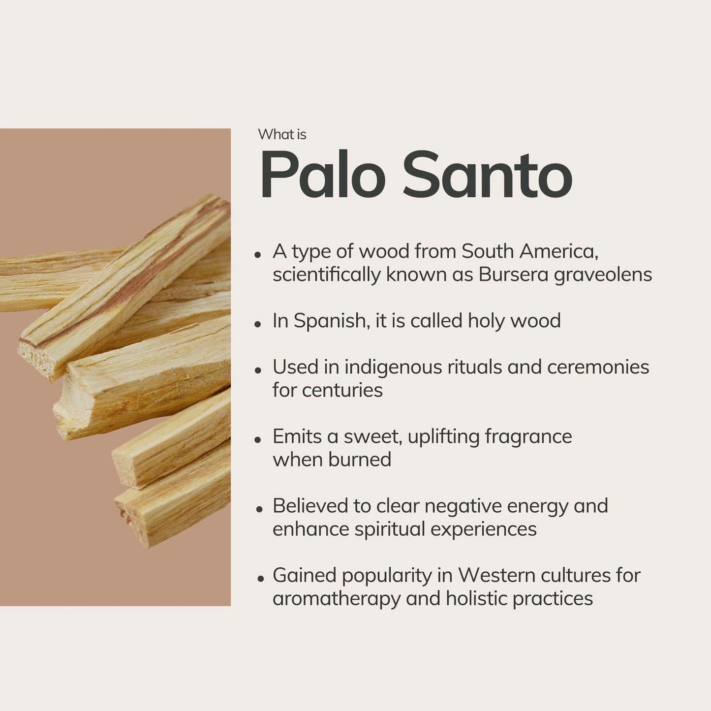 Ecuadorian Palo Santo Sticks (Box of 10)