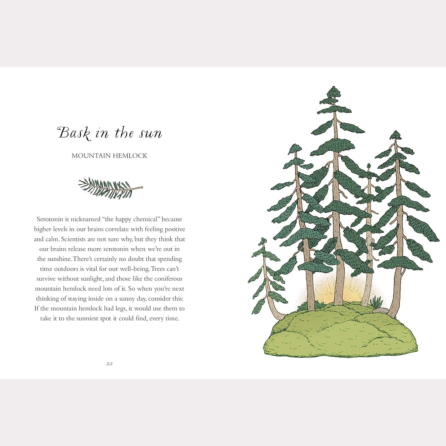 How to Be More Tree: Essential Life Lessons for Perennial Happiness