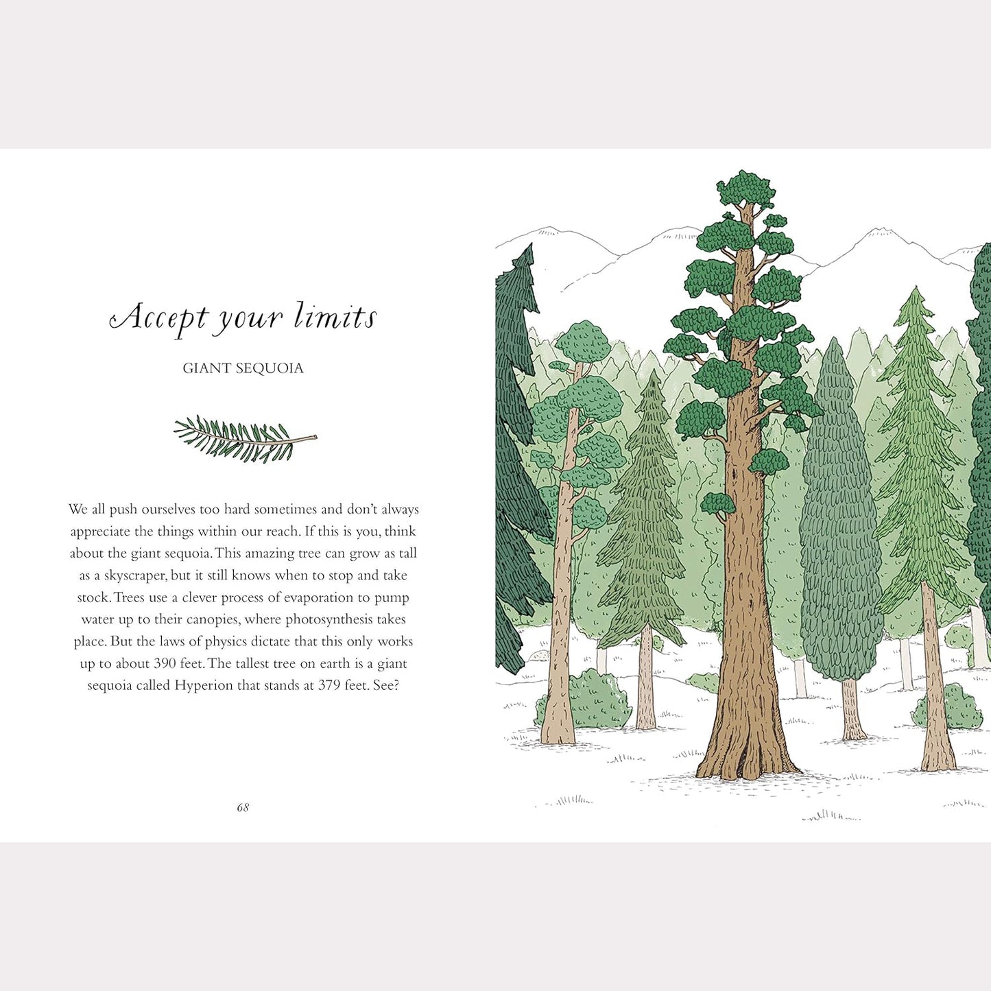 How to Be More Tree: Essential Life Lessons for Perennial Happiness
