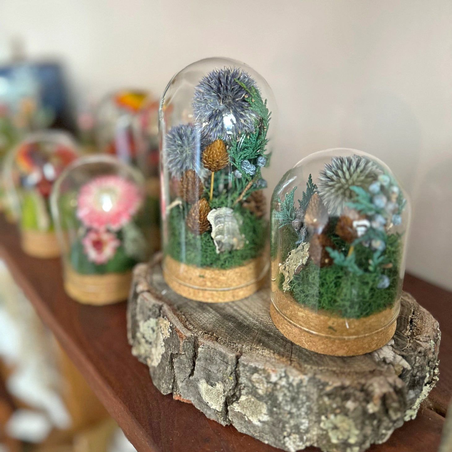 Large Dried Botanical Glass Cloche Terrarium - Blue Florals