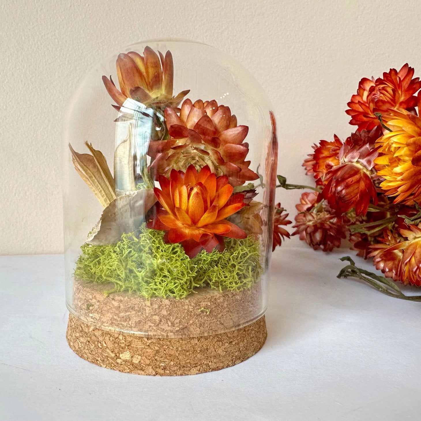 Medium Dried Botanical Glass Cloche Terrarium - Orange Florals