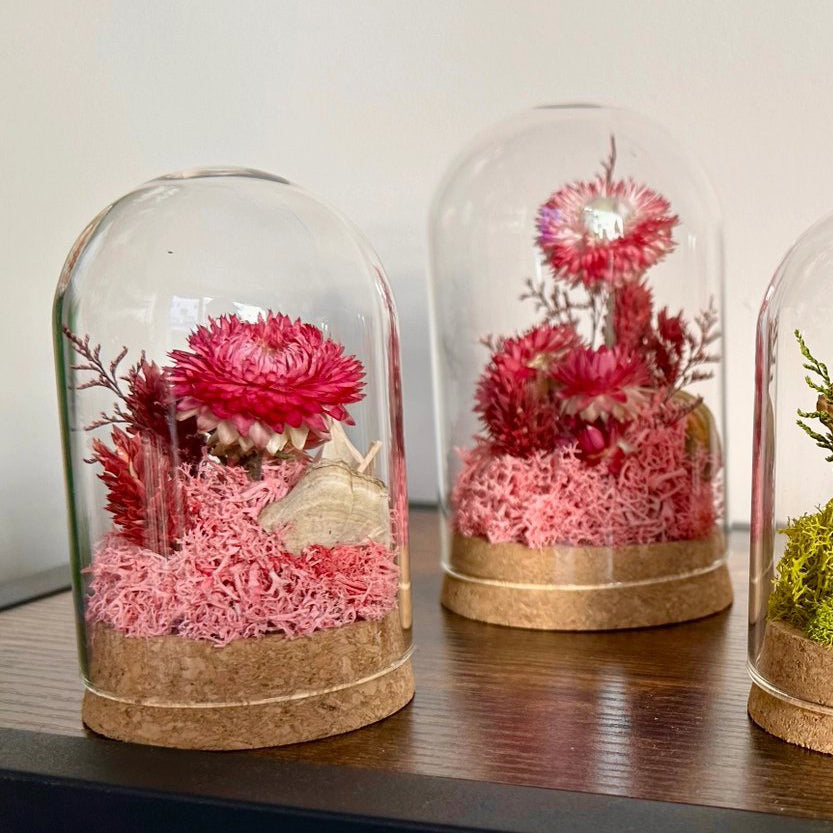Medium Dried Botanical Glass Cloche Terrarium - Pink Florals