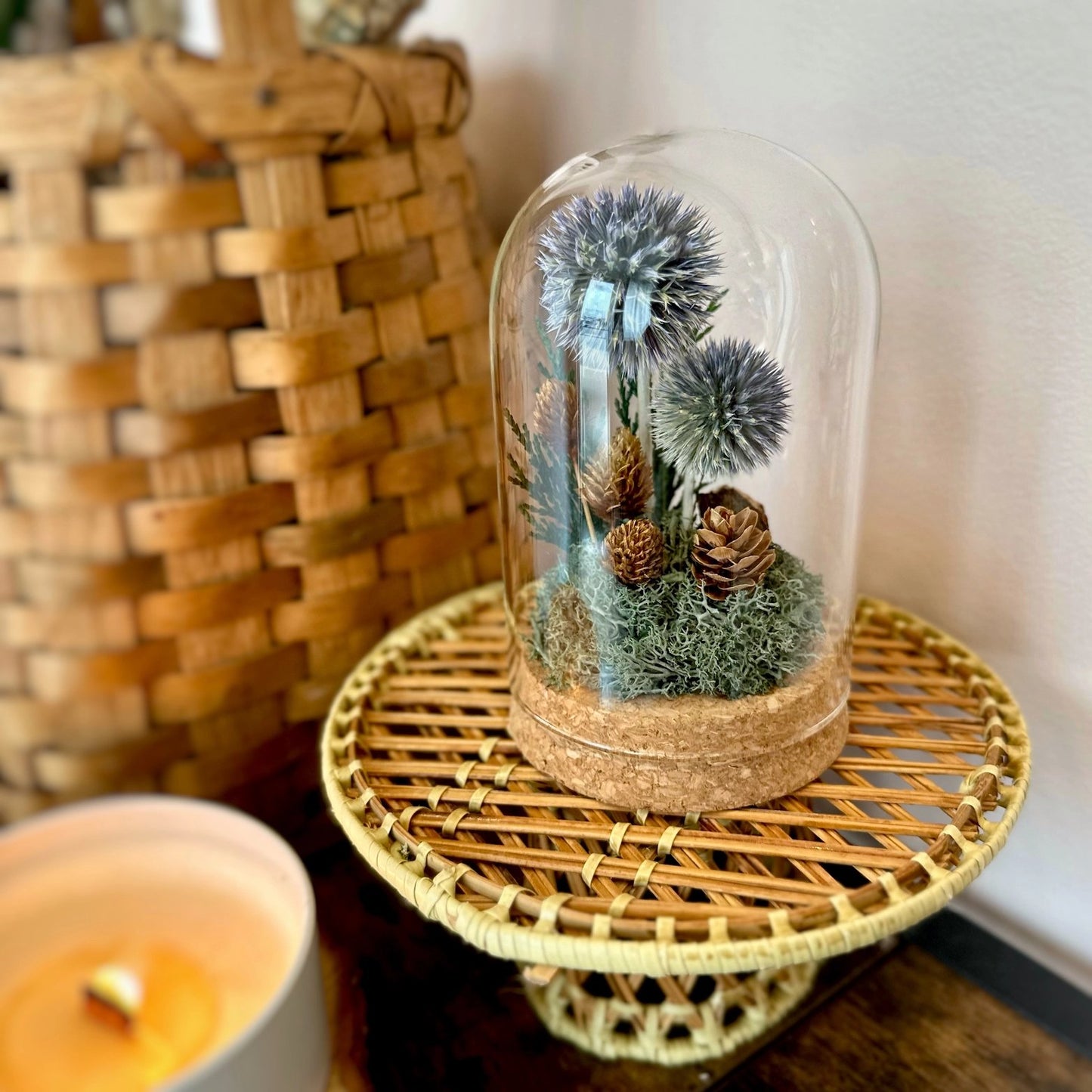 Blue Thistle Glass Cloche Terrarium - Tall