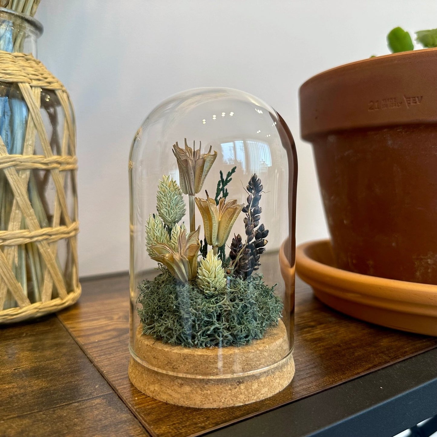 Forest Floor Glass Cloche Terrarium - Tall