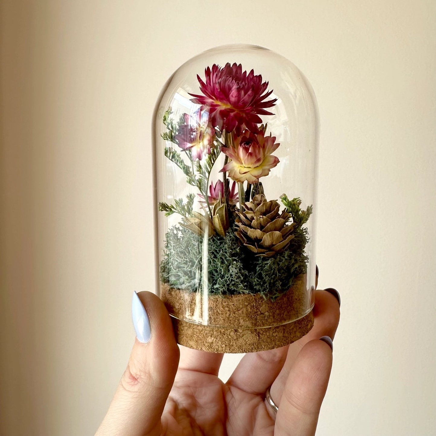 Pink Strawflower Fields Glass Cloche Terrarium - Short