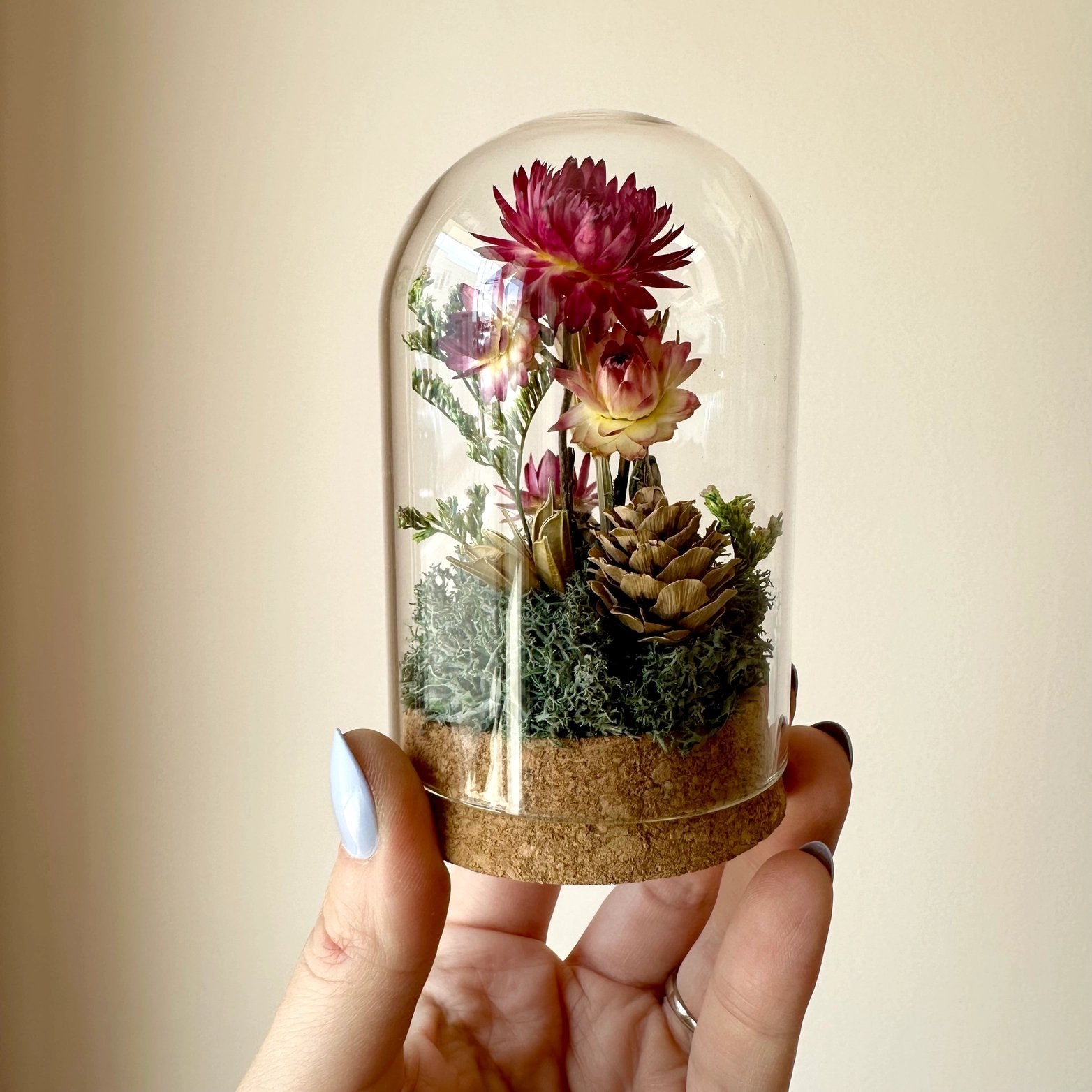 Pink Strawflower Fields Glass Cloche Terrarium - Short