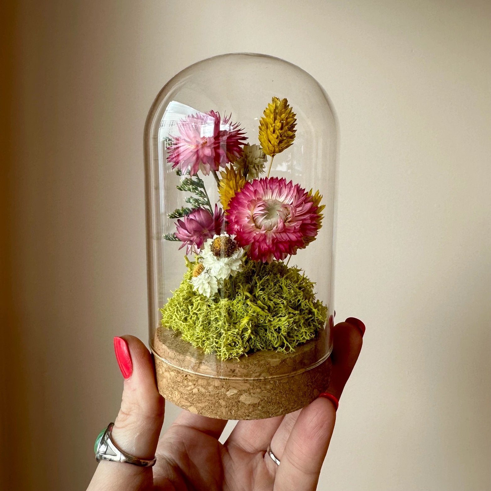Sunblush Glass Cloche Terrarium - Tall