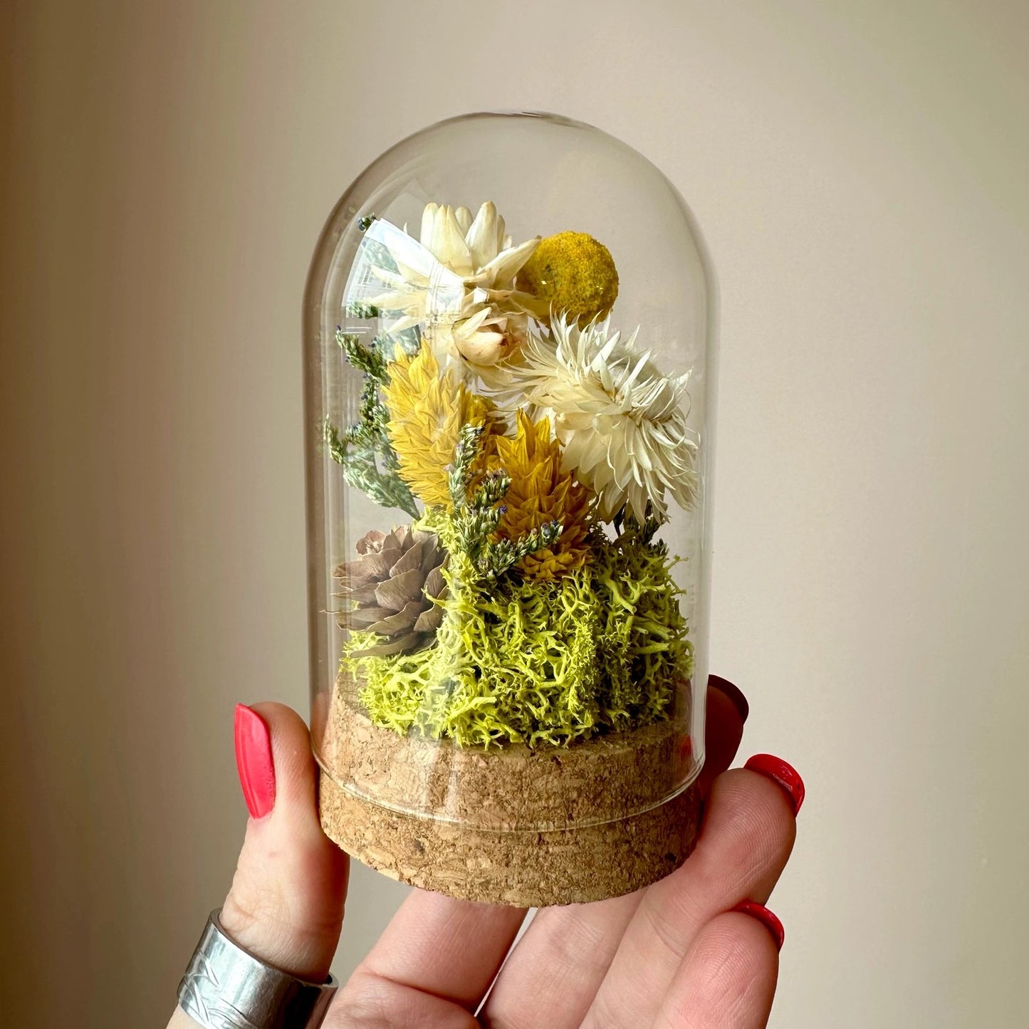 Honeyglow Glass Cloche Terrarium - Short