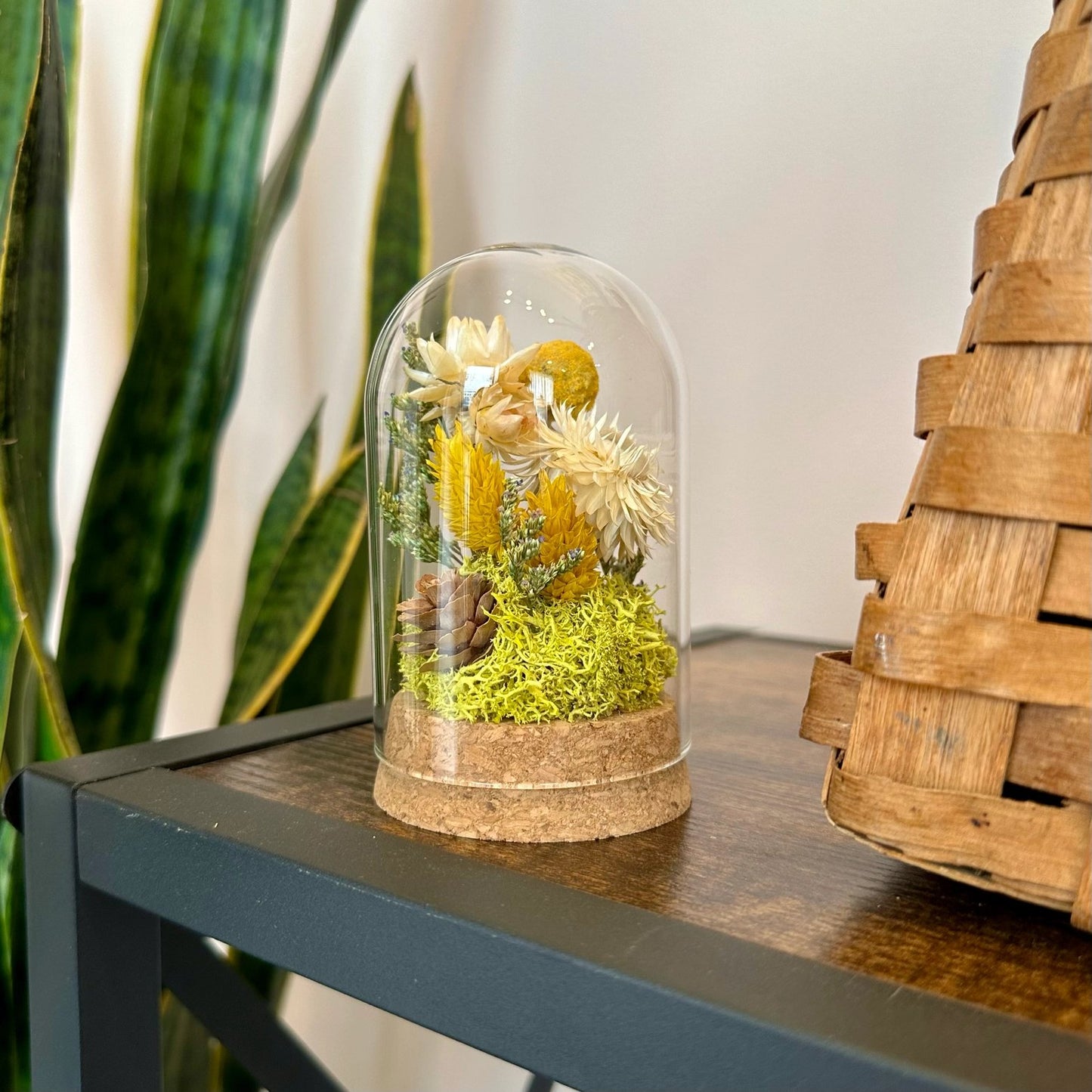 Honeyglow Glass Cloche Terrarium - Short