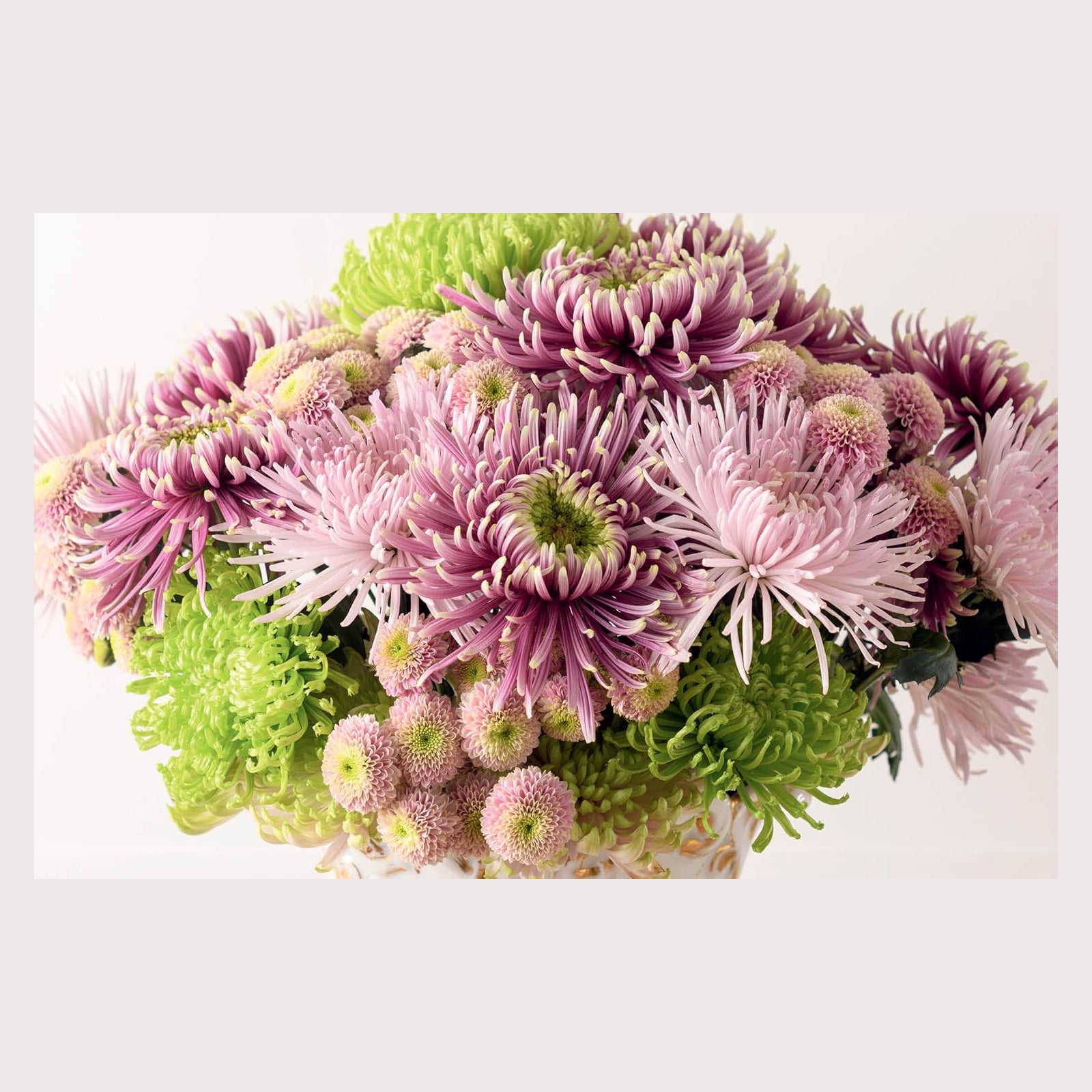 Chrysanthemums: Beautiful Varieties for Home and Garden