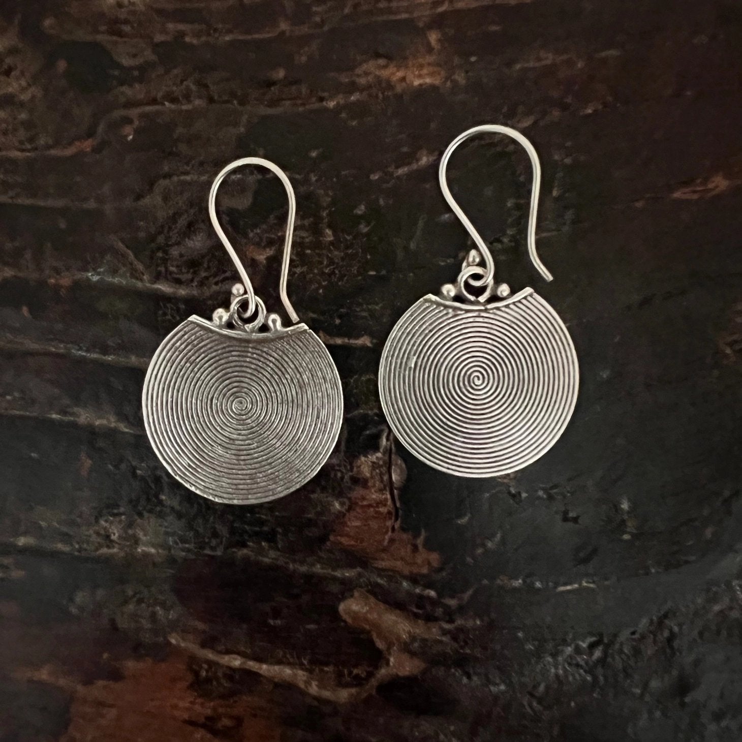 Silver Evolution Dangle Earrings