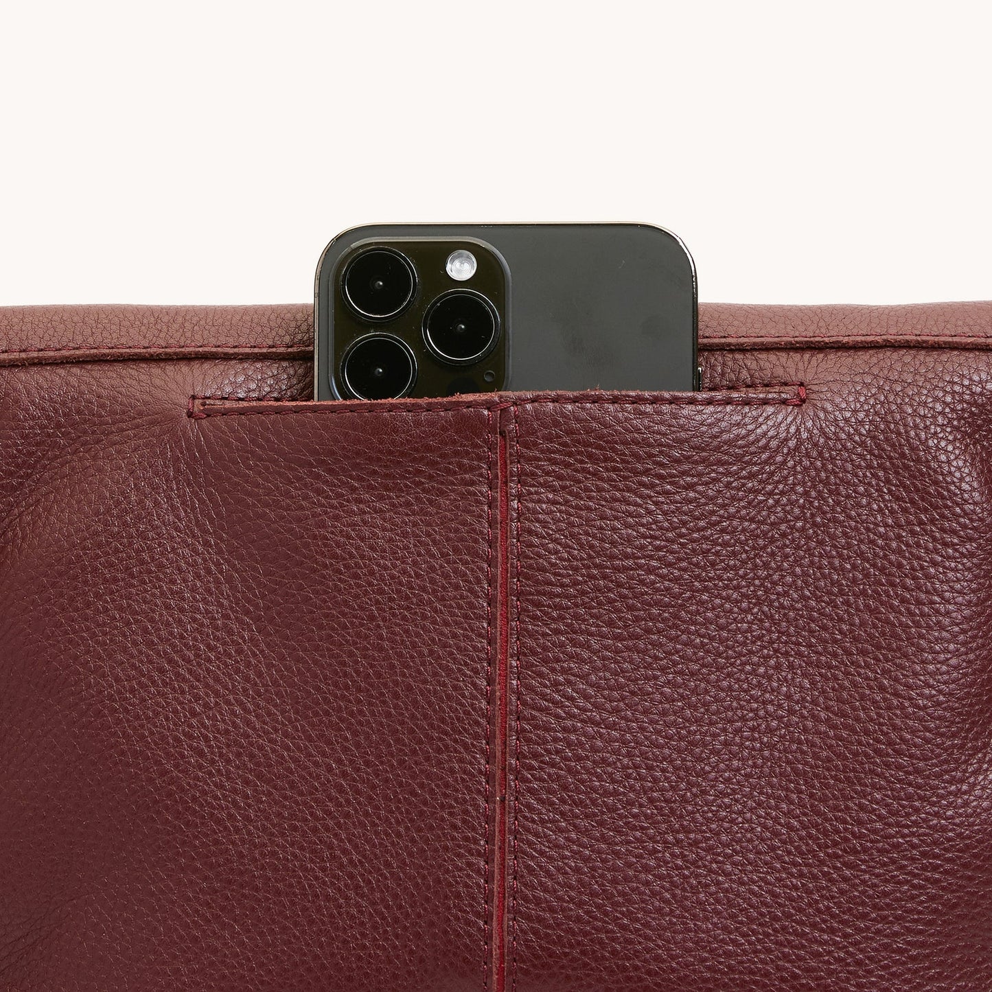 Hammitt VIP Medium Crossbody Bag - LIMITED EDITION Cherrywood Pebble/Brushed Gold