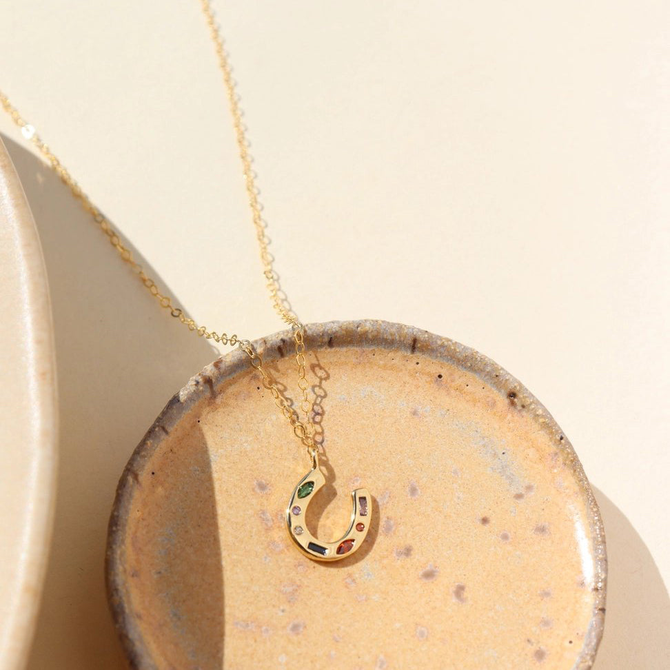 Horseshoe Charm Necklace (Select Material)