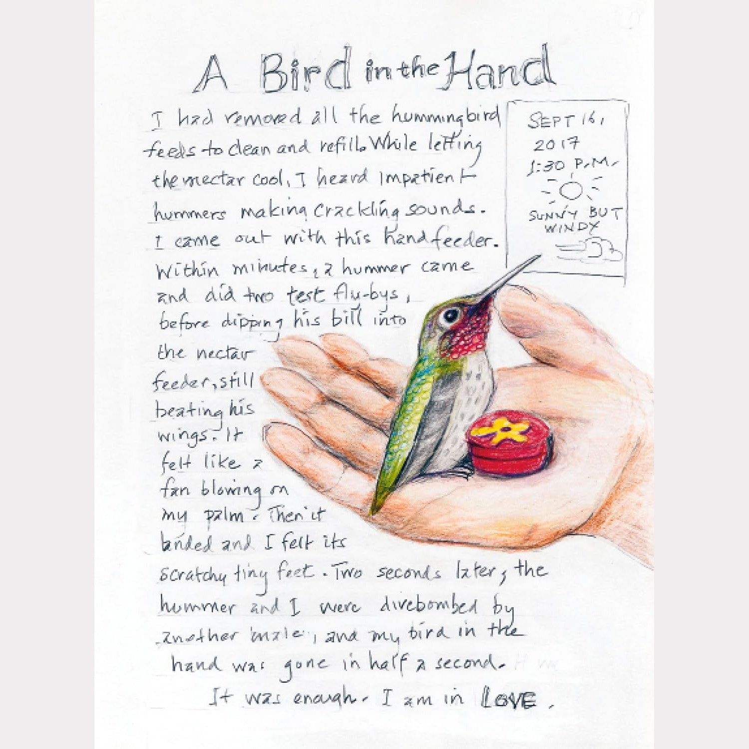 The Backyard Bird Chronicles