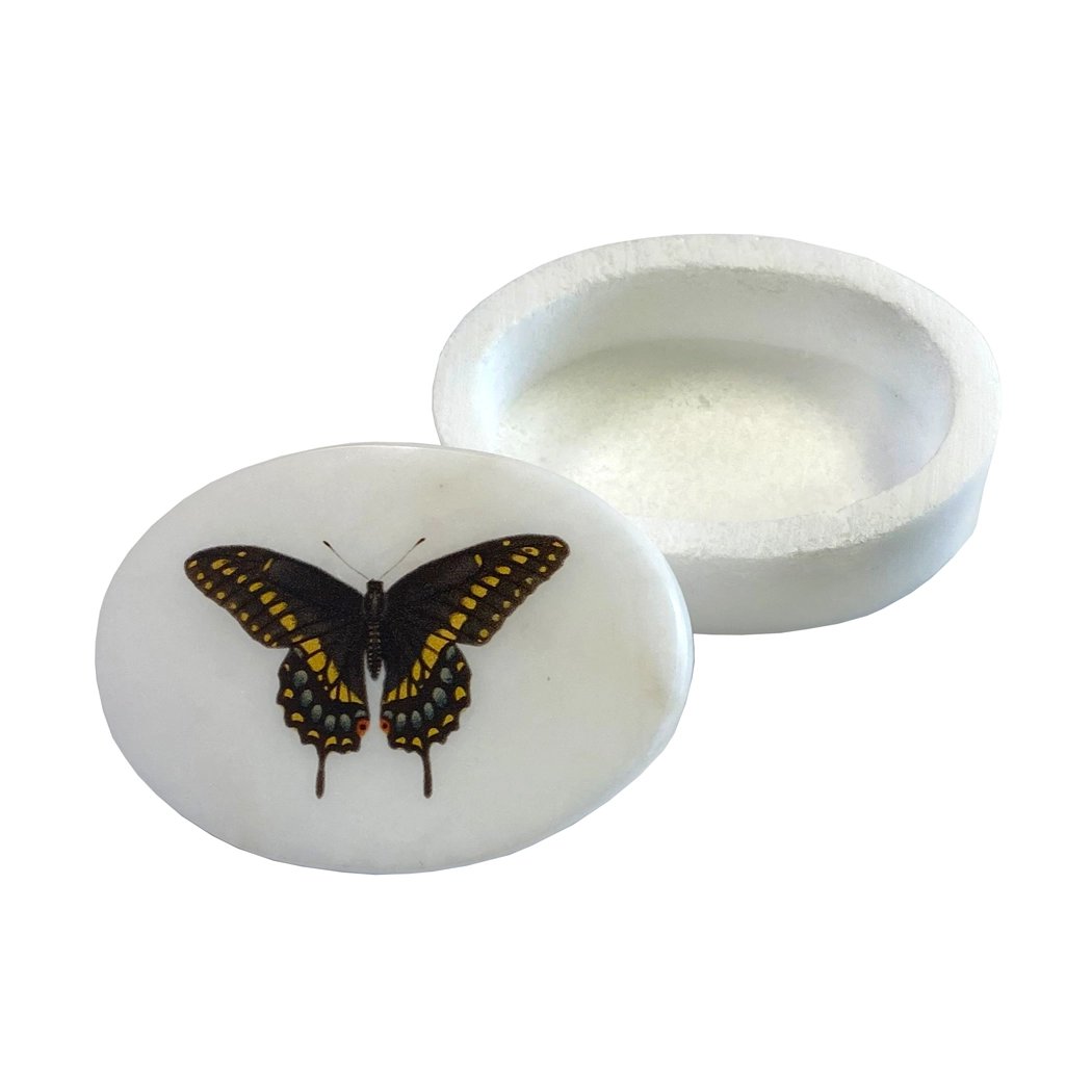 Eastern Black Swallowtail Butterfly 3" Oval Soapstone Trinket Box