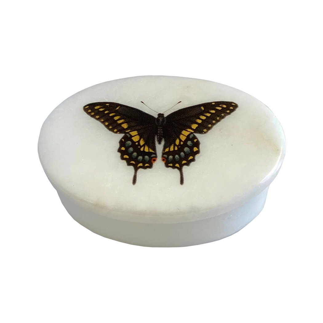 Eastern Black Swallowtail Butterfly 3" Oval Soapstone Trinket Box