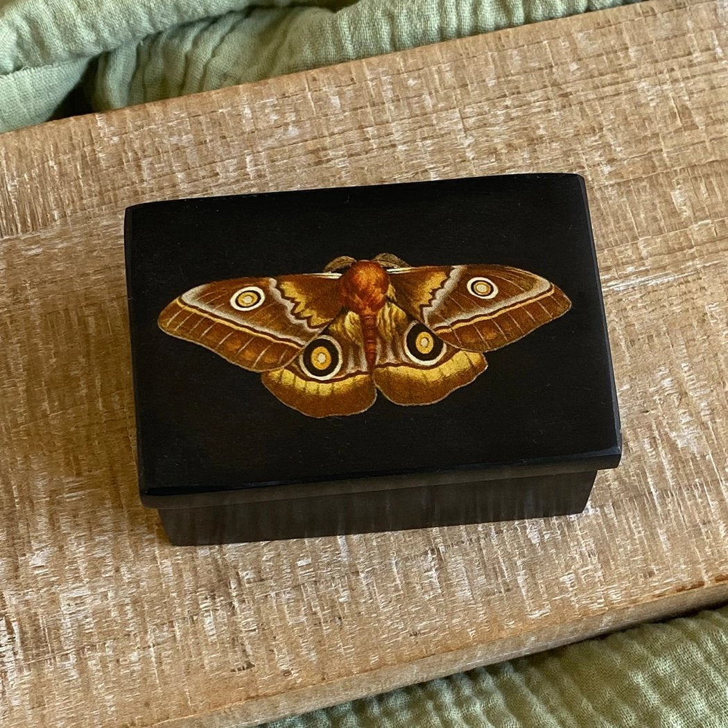 Emperor Moth 3" Black Soapstone Trinket Box